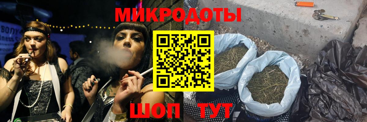 Галлюциногенные грибы Psilocybine cubensis Чапаевск
